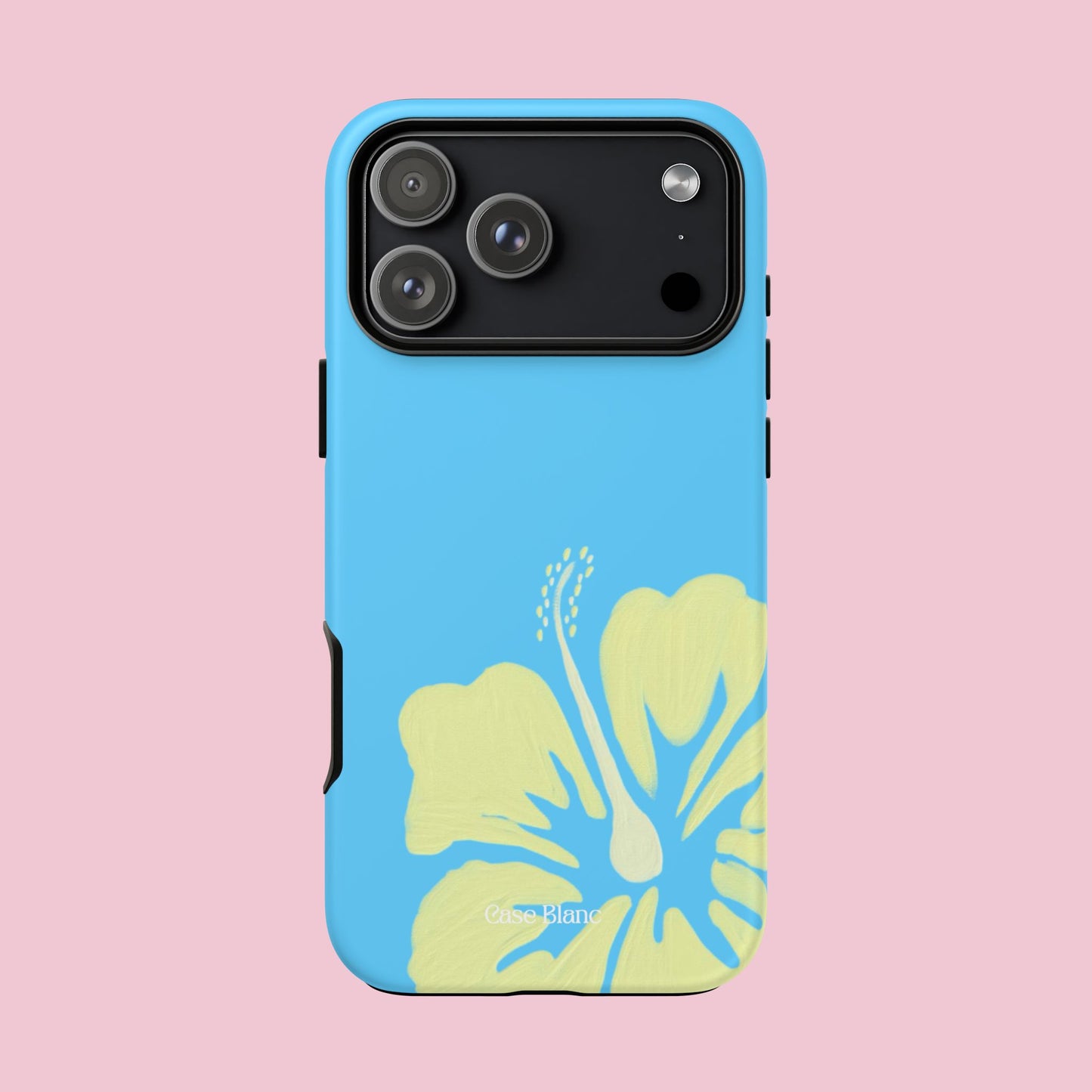 Hibiscus