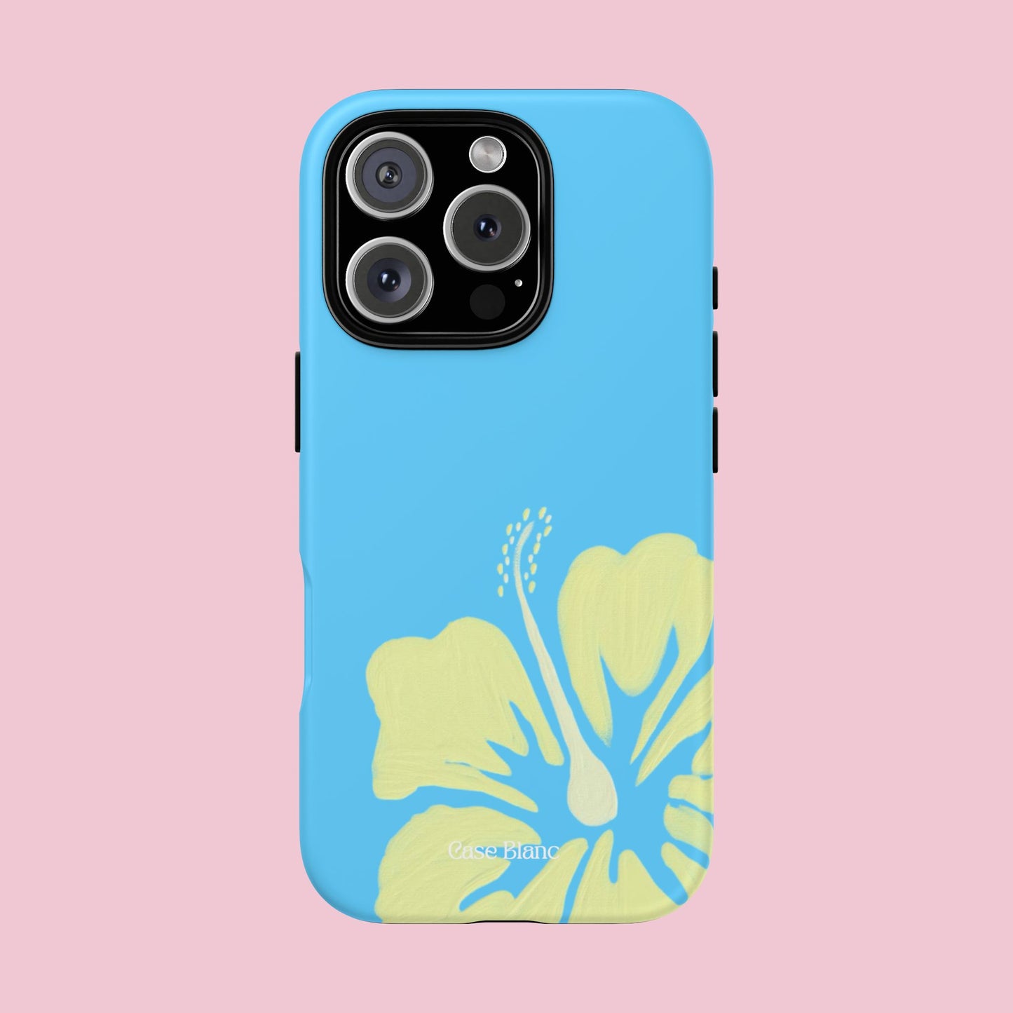 Hibiscus