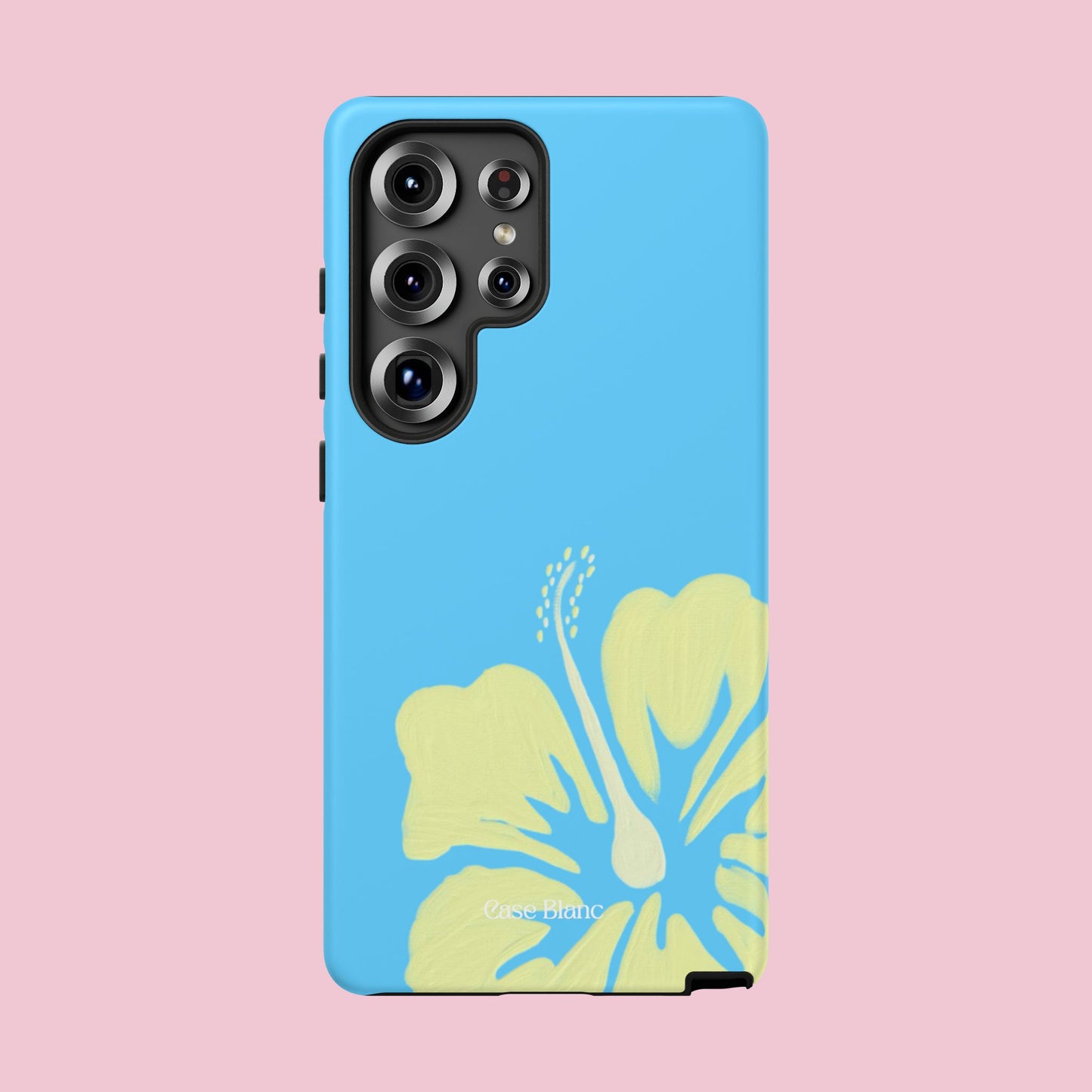 Hibiscus